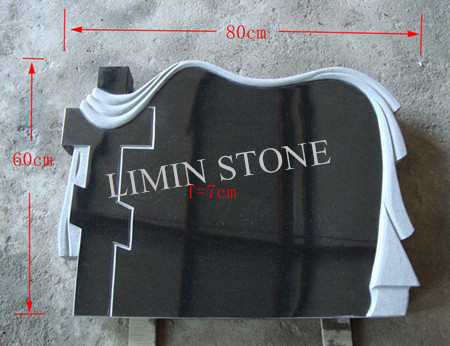 LM5-M-017